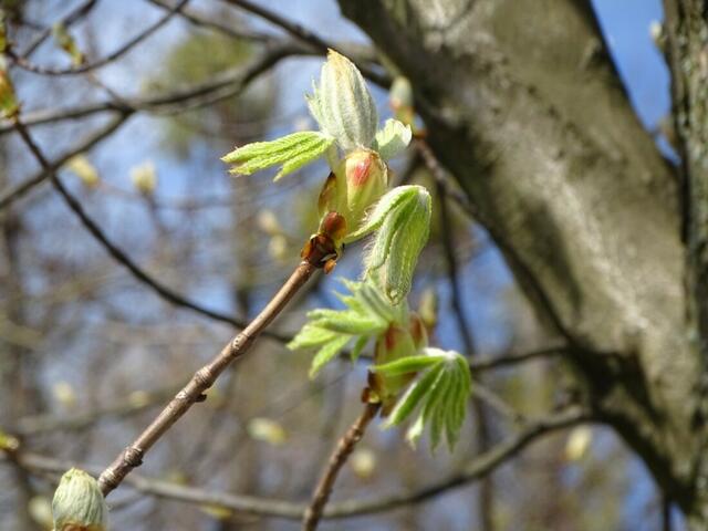 Wilhelminenberg Wien