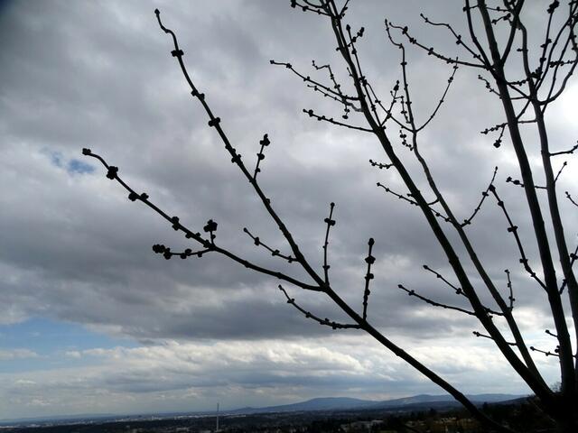 Wilhelminenberg Wien