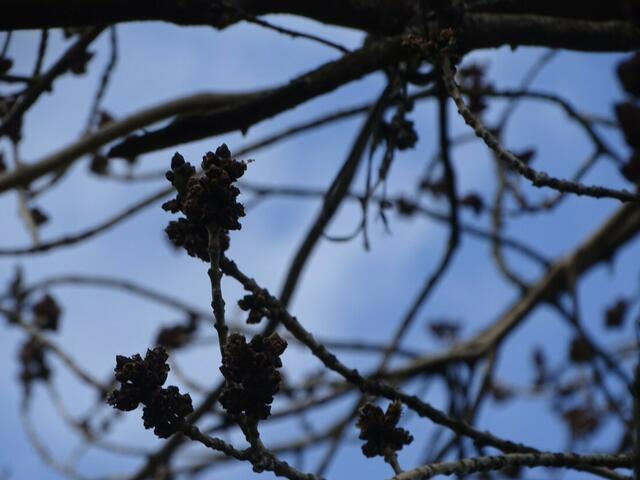 Wilhelminenberg Wien