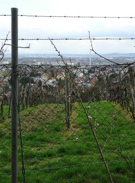 Wilhelminenberg Wien
