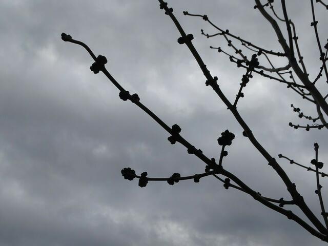 Wilhelminenberg Wien