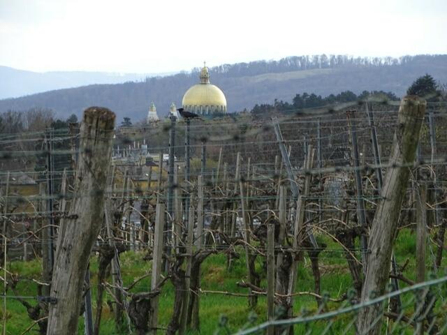 Wilhelminenberg Wien