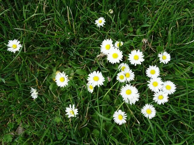 Wilhelminenberg Wien