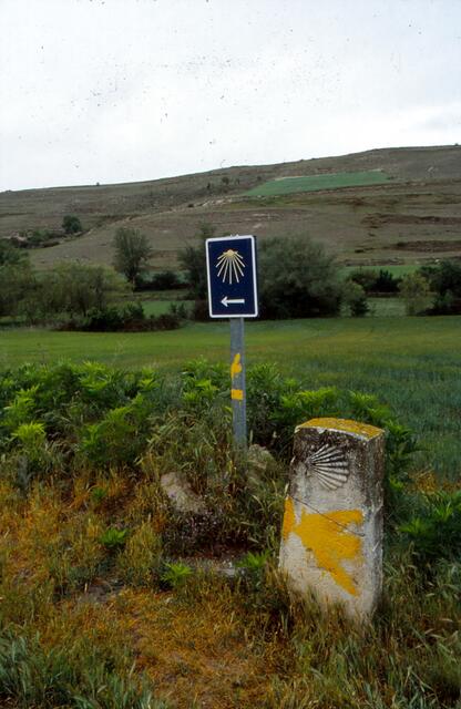 Pilgerweg bei Olmillos de Sasamon, neben dem neuen Pilgerzeichen ein altes, in Stein gehauenes Pilgerzeichen. Die Muschel weist den Weg.