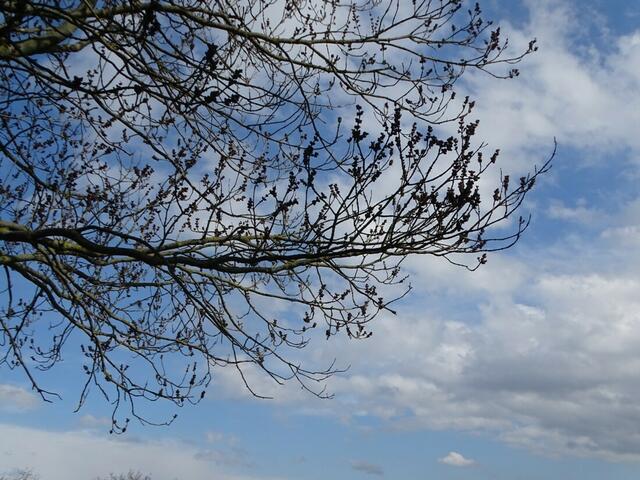 Wilhelminenberg Wien