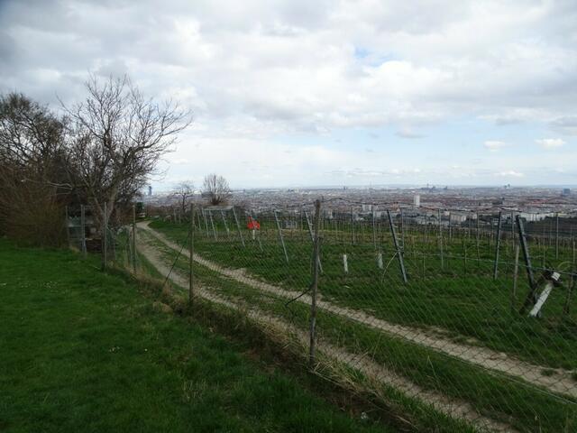 Wilhelminenberg Wien