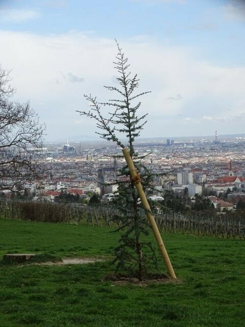 Wilhelminenberg Wien