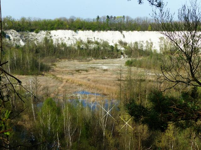Als einzigartiges Biotop wird jedoch die Grube HPC 1 erhalten bleiben.