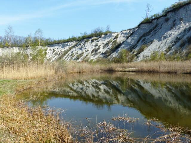 Die 40 Meter hohen Kreidewände lassen schon ein wenig an Rügen denken.