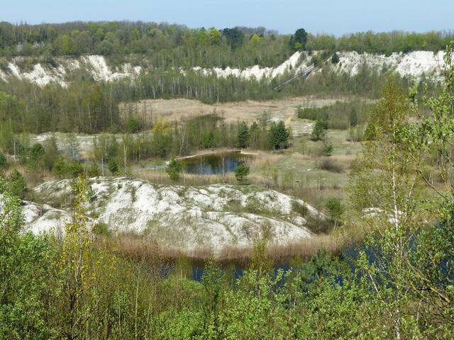 Anschließend kann die Mergelgrube bei einer Führung erkundet werden.
