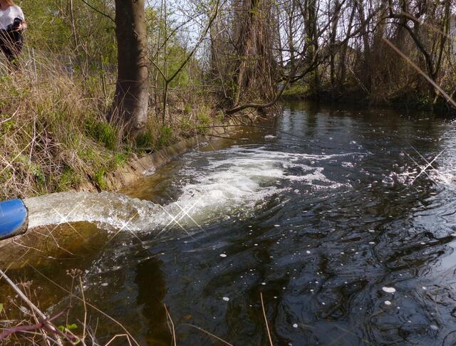 Oben angekommen, strömt das Wasser in einen kleinen Teich und von dort über einen Bach in den Stichkanal, der zum alten Misburger Hafen und zum Mittellandkanal führt.