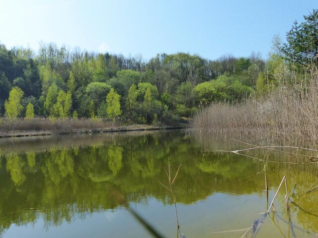 Aber jeder findet in dieser vielseitigen Landschaft seinen Platz. Auch der Eisvogel und sogar der Uhu.