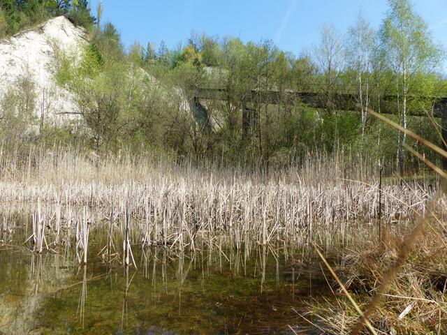 Bei Führungen zu fortgeschrittener Jahreszeit wird sich die Natur vollkommen anders zeigen. Es lohnt, dann wiederzukommen.