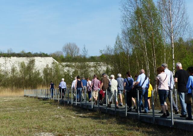 Prof. Küster führt eine der drei Gruppen in Teilbereiche der Mergelgrube.