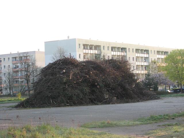 Das passt Fichte Str. im Mueßer Holz
