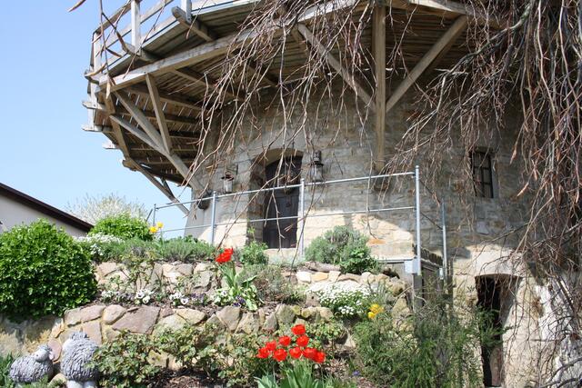 kleine Blütenpracht vor der Mühle