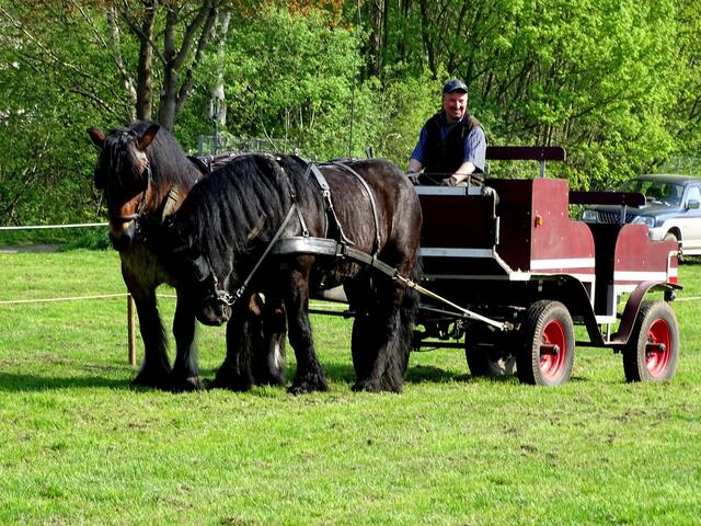 Für die zwei ist der Wagen eine Lachpille.