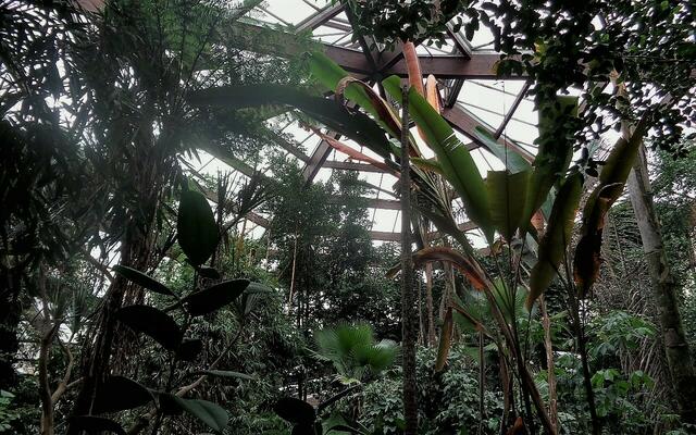 Jungle Trail (in Anlehnung an den Dschungel von Indonesien errichtet).