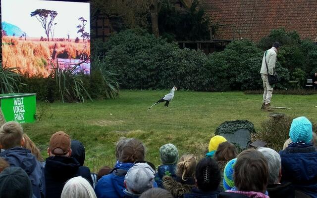 Sekretär (so heisst der Vogel wirklich).
