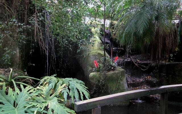 Wasserfall