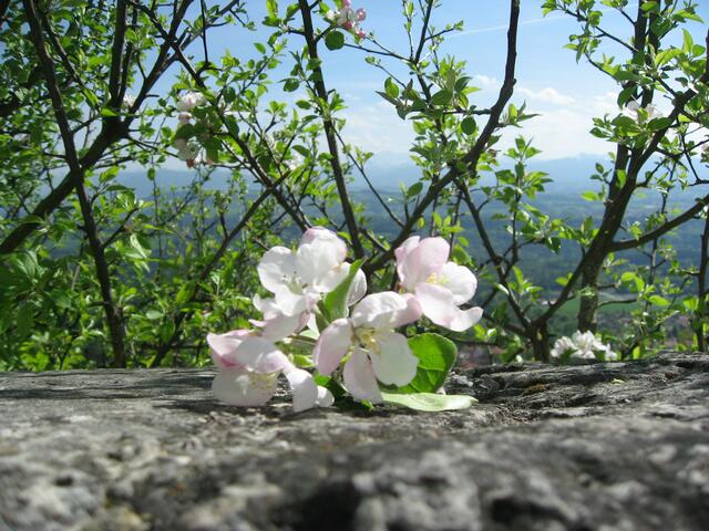 Von MIR zu DIR! Geheimbotschaft in LIEBE !