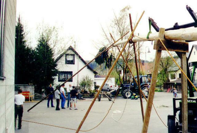 Bereit zum Aufstellen: Der Maibaum 2003.