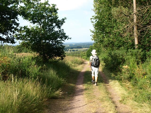 Wanderweg im Wald Brocéliande