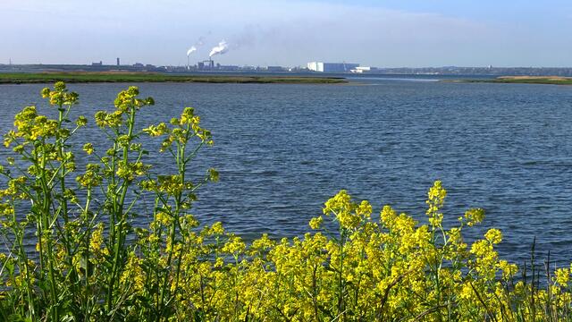 Gut zehn Kilometer sind es von der Insel Poel in der Ostsee bis zur Hansestadt Wismar (am Horizont). Foto: Helmut Kuzina