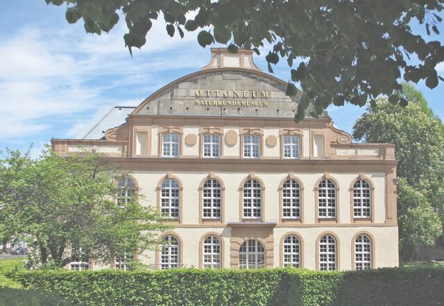 Das Ottoneum wurde 1603-06 als ältestes SChauspielhaus Deutschlands erbaut. Seit 1884 ist hier das Naturkundemuseum untergebracht.