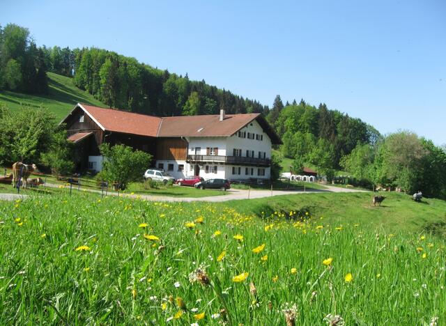 Einzelner Bauernhof am Schneidberg, zwischen Peiting und Rottenbuch.
