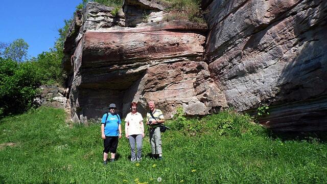 Mit Wolfgang E. durch den blühenden Steinbruch Nebra - am 8.5.2018 !