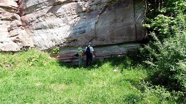 Mit Wolfgang E. durch den blühenden Steinbruch Nebra - am 8.5.2018 !