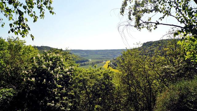 Das Triastor - Mit Wolfgang E. durch den blühenden Steinbruch Nebra - am 8.5.2018 !