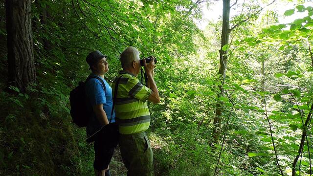 Mit Wolfgang E. durch den blühenden Steinbruch Nebra - am 8.5.2018 !