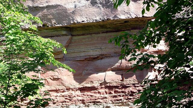 Mit Wolfgang E. durch den blühenden Steinbruch Nebra - am 8.5.2018 !