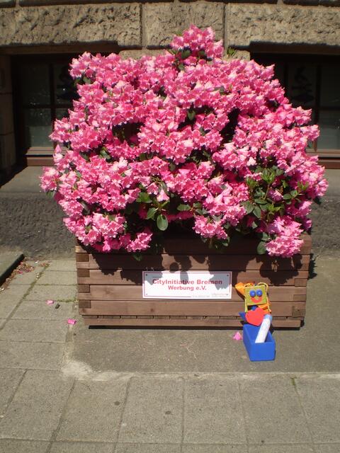 Bremen, Europatag 2018