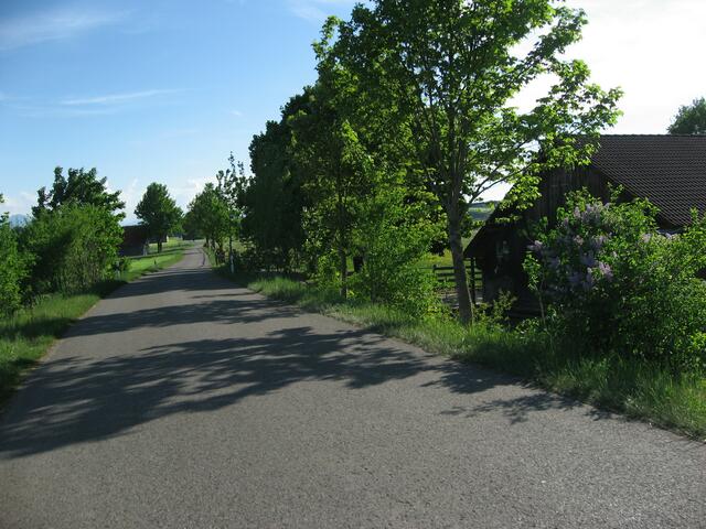 Auf breiten, geteerten Wirtschaftswegen komme ich gut voran. Es treibt mich hinaus aufs Feld, dorthin, wo die frisch gemähten Wiesen sind und die Luft nach Gras riecht.