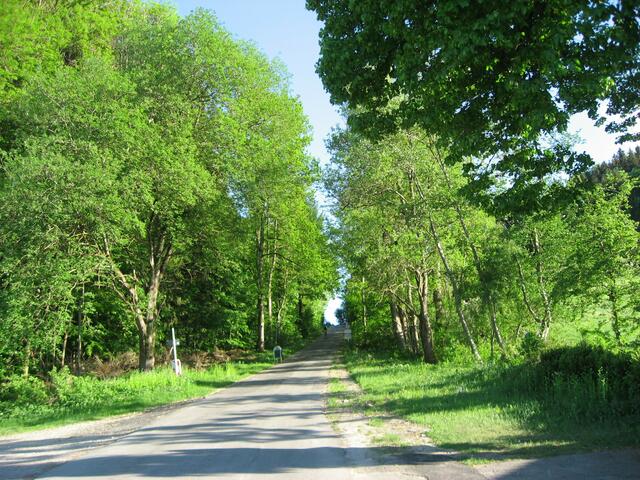 Die steile Auffahrt am Schnaidberg. (Radtour vom letzten Sonntag).