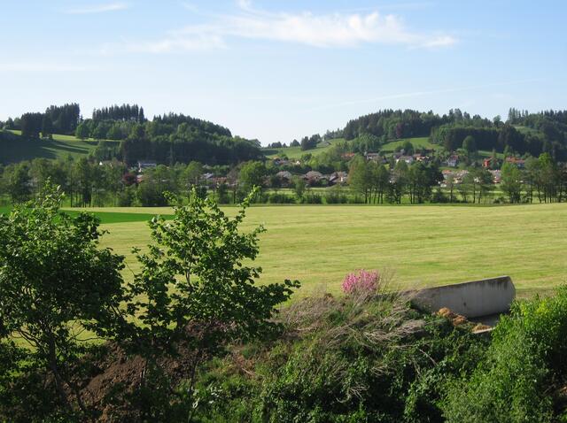 Um hierher zu kommen, brauchte ich kein Auto. Über eine frisch gemähte Wiese geht mein Blick hinüber zum Wohnviertel an der Füssener Straße (Peiting West).