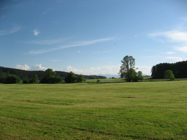 Mein Auto hat Pause! Heute wird geradelt!                   Vor mir, am Horizont, könnte man mit einem guten Fernglas, die Allgäuer Alpen erkennen.
