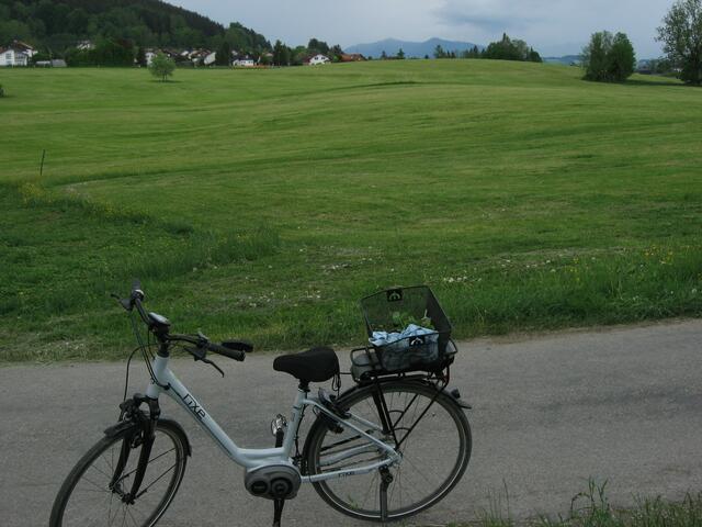 ...Schade, den stengellosen Enzian habe ich nicht gefunden! Er ist wohl für immer - zumindest hier im Filz bei Hohenpeißenberg, ausgerottet.