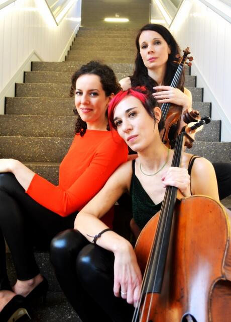 Am 9. Juni tritt das Damen-Trio im Schlosssaal in Hammel auf | Foto: Trio Ardor