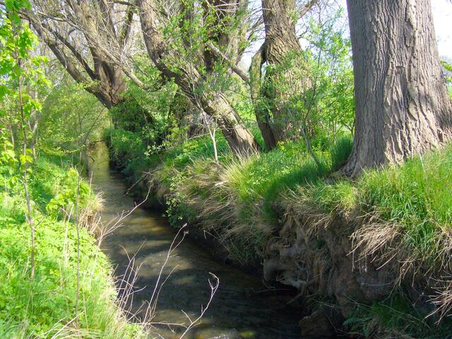 So der Bredenbecker Bach, der auf Evestorf zufließt.