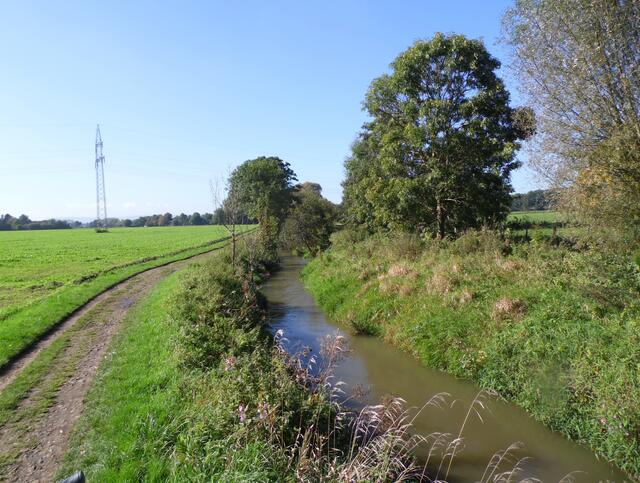Am Wettberger Holz nähert sich die Ihme Hannover.