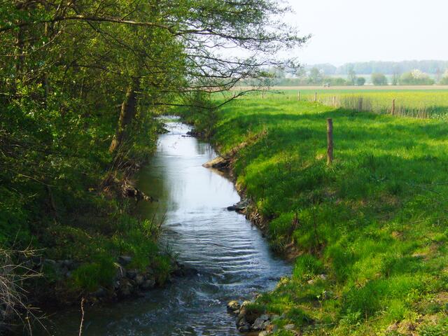 Auch bei Ihme-Roloven ist die Ihme noch nicht mehr als ein Bach.