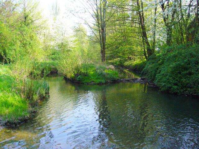 Ein zusätzlicher zweiter Bachlauf wurde geschaffen, der Wassertieren, Vögeln und Pflanzen viel natürlichen Lebensraum bietet.