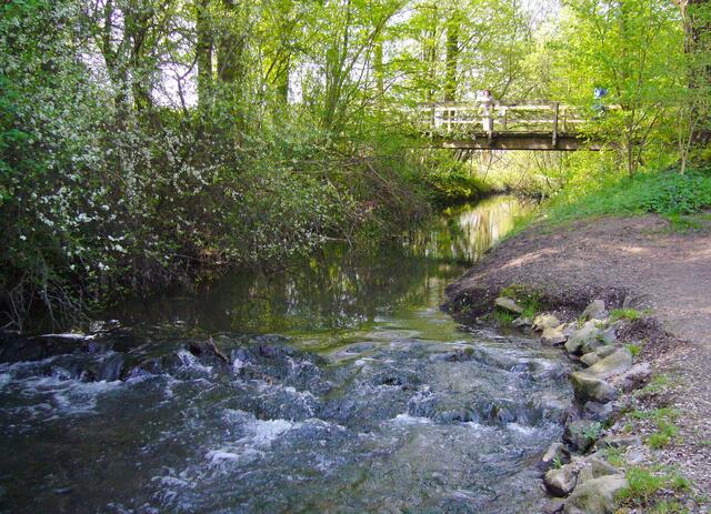 An der Kückenmühle wurde der Bachlauf seit zwei Jahrzehnten wieder in einen natürlichen Zustand zurückversetzt.