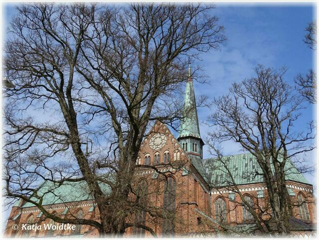 Das Münster in Bad Doberan ist ein Meisterwerk der Backsteingotik (Foto: Katja Woidtke)