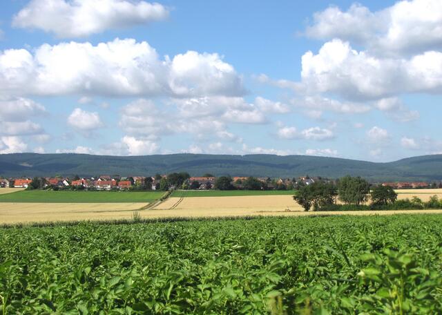 Ihre kleinen Zubringerbäche entspringen im Deister.