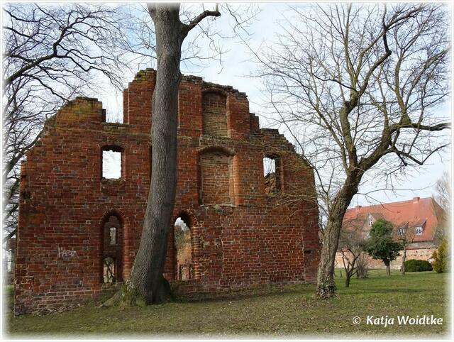 Ruine der Wolfscheune auf dem ehemaligen Klostergelände von Bad Doberan (Foto: Katja Woidtke)
